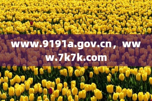 www.9191a.gov.cn，www.7k7k.com