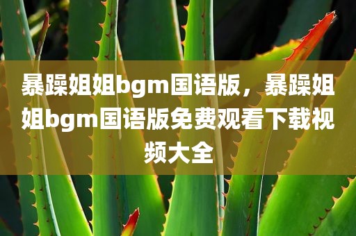 暴躁姐姐bgm国语版，暴躁姐姐bgm国语版免费观看下载视频大全