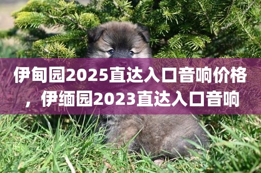 伊甸园2025直达入口音响价格，伊缅园2023直达入口音响