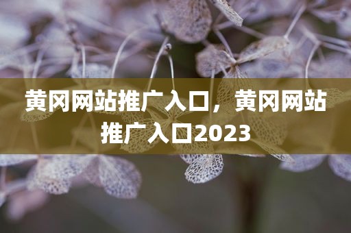 黄冈网站推广入口，黄冈网站推广入口2023