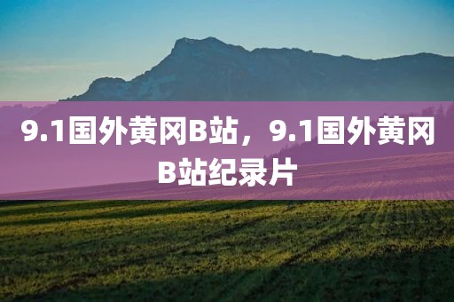 9.1国外黄冈B站，9.1国外黄冈B站纪录片