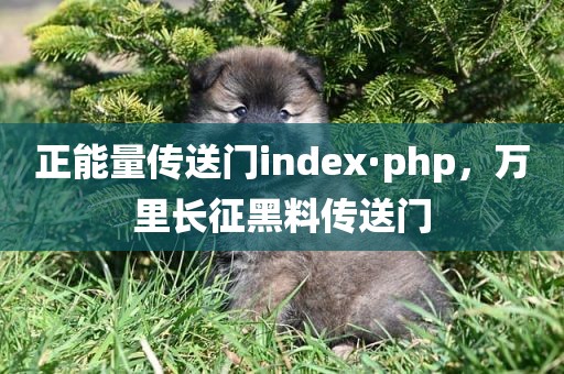 正能量传送门index·php，万里长征黑料传送门