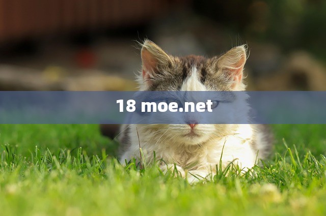 18 moe.net