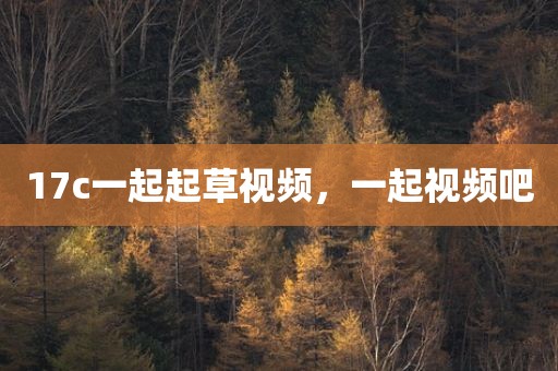 17c一起起草视频，一起视频吧