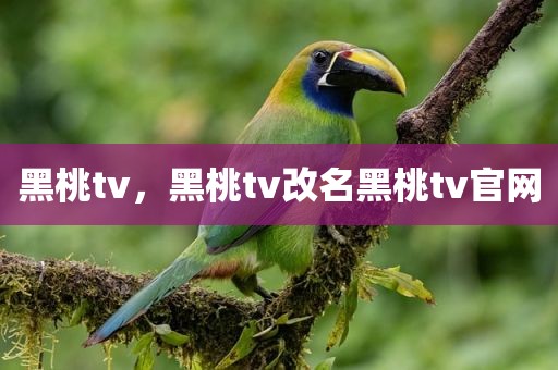 黑桃tv，黑桃tv改名黑桃tv官网
