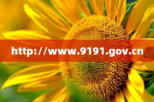 http://www.9191.gov.cn