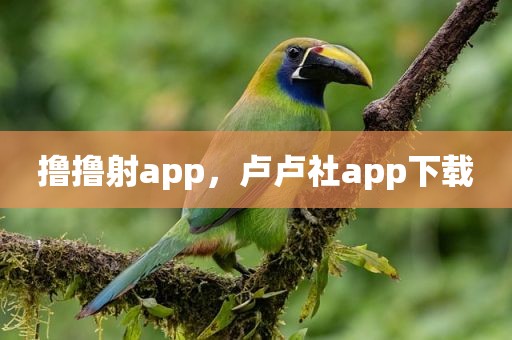 撸撸射app，卢卢社app下载