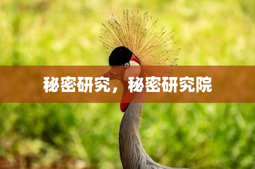 秘密研究，秘密研究院