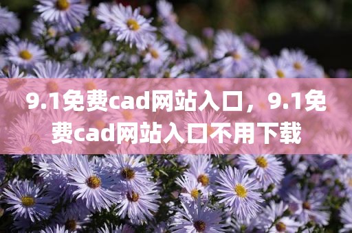 9.1免费cad网站入口，9.1免费cad网站入口不用下载