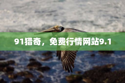 91猎奇，免费行情网站9.1