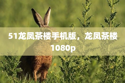 51龙凤茶楼手机版，龙凤茶楼1080p