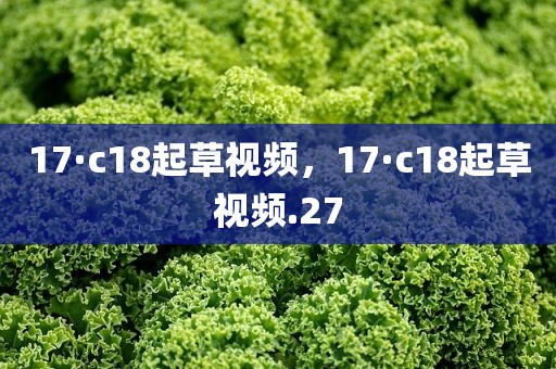 17·c18起草视频，17·c18起草视频.27