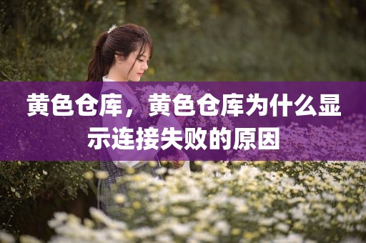 黄色仓库，黄色仓库为什么显示连接失败的原因