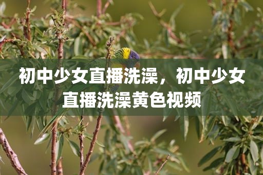初中少女直播洗澡，初中少女直播洗澡黄色视频