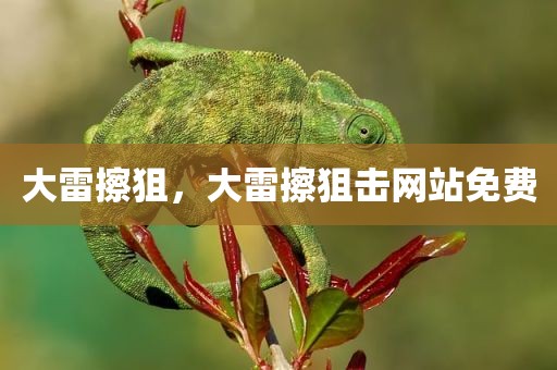 大雷擦狙，大雷擦狙击网站免费