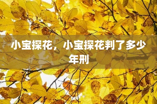 小宝探花，小宝探花判了多少年刑