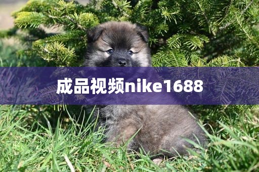 成品视频nike1688