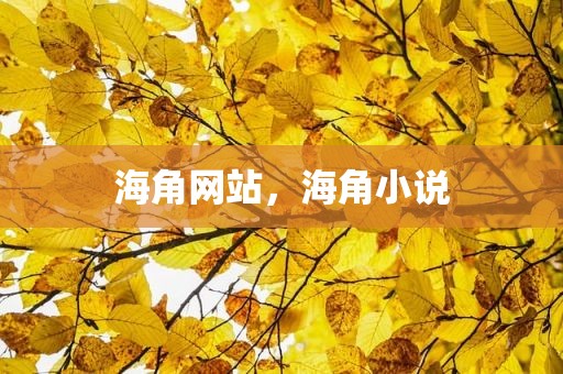 海角网站，海角小说