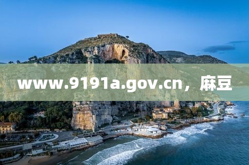 www.9191a.gov.cn，麻豆