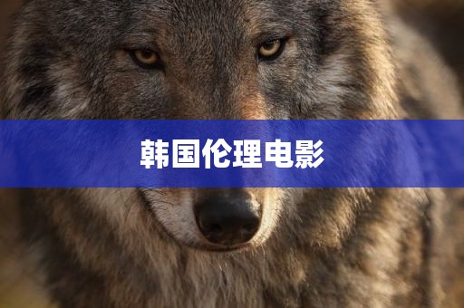 韩国伦理电影