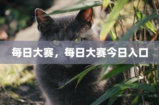 每日大赛，每日大赛今日入口