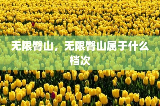 无限臀山，无限臀山属于什么档次