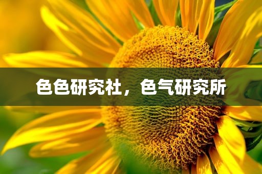 色色研究社，色气研究所