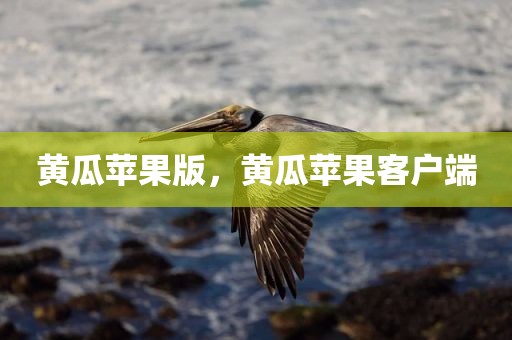 黄瓜苹果版，黄瓜苹果客户端