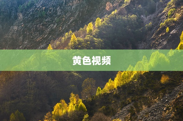 黄色视频