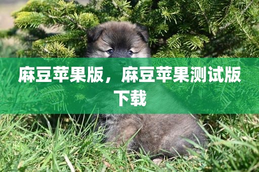 麻豆苹果版，麻豆苹果测试版下载