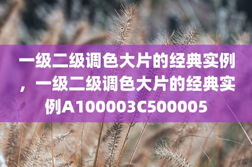 一级二级调色大片的经典实例，一级二级调色大片的经典实例A100003C500005