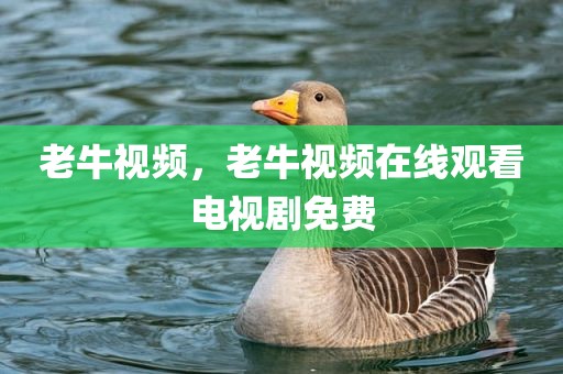 老牛视频，老牛视频在线观看电视剧免费