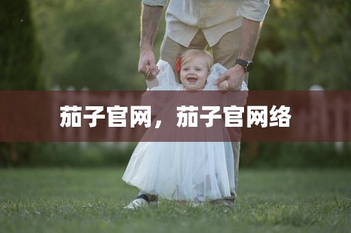 茄子官网，茄子官网络