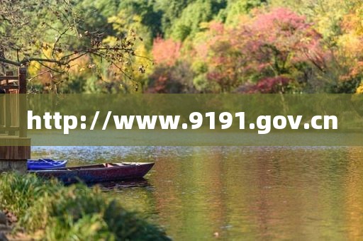 http://www.9191.gov.cn