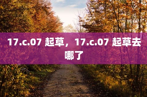 17.c.07 起草，17.c.07 起草去哪了