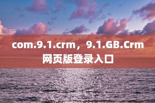 com.9.1.crm，9.1.GB.Crm网页版登录入口