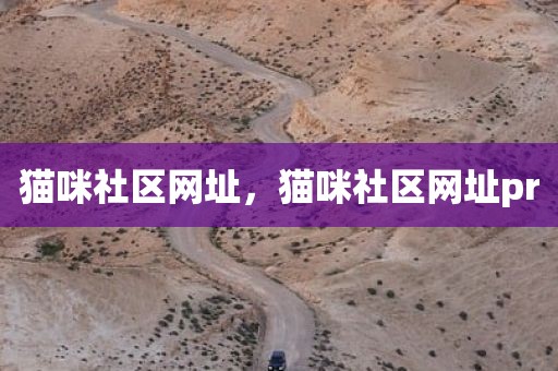 猫咪社区网址，猫咪社区网址pr