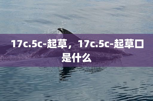 17c.5c-起草，17c.5c-起草口是什么