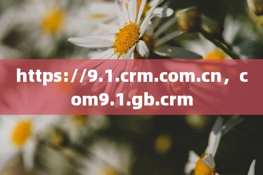 https://9.1.crm.com.cn，com9.1.gb.crm