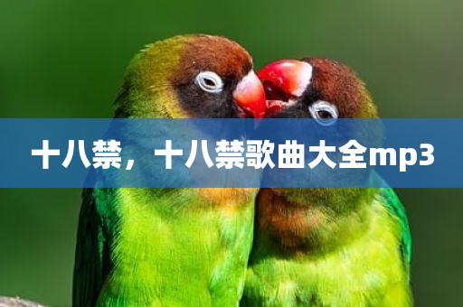 十八禁，十八禁歌曲大全mp3