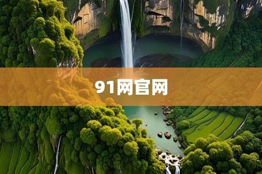 91网官网