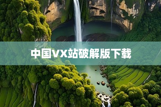 中国VX站破解版下载