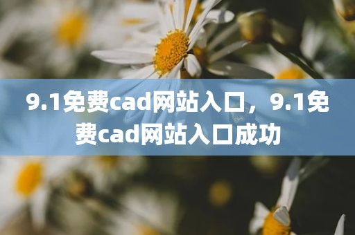 9.1免费cad网站入口，9.1免费cad网站入口成功