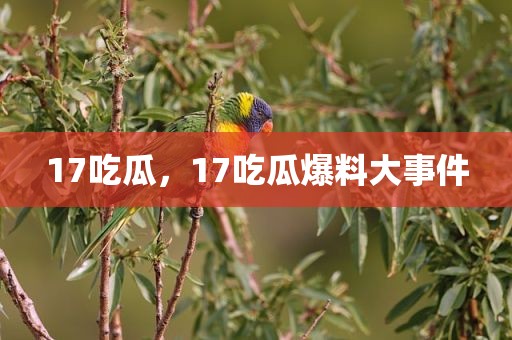 17吃瓜，17吃瓜爆料大事件