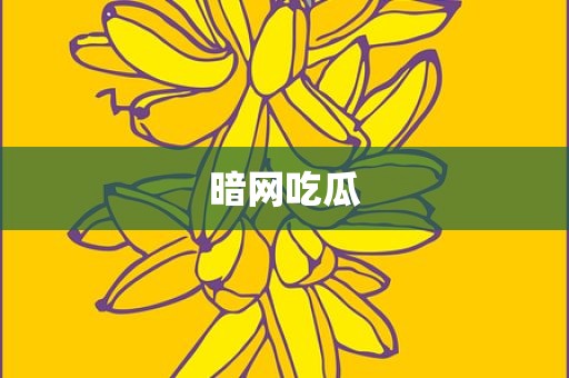暗网吃瓜