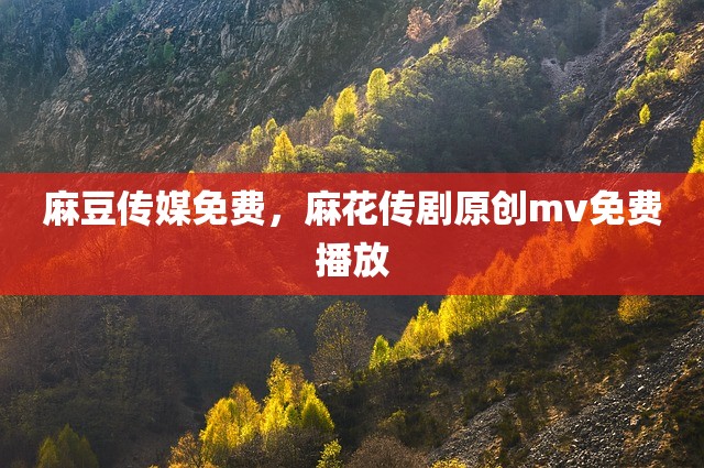 麻豆传媒免费，麻花传剧原创mv免费播放