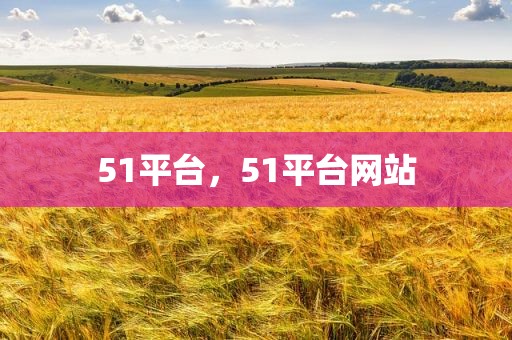 51平台，51平台网站