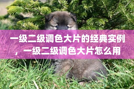 一级二级调色大片的经典实例，一级二级调色大片怎么用