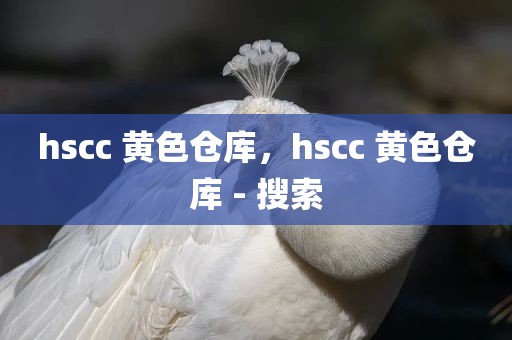 hscc 黄色仓库，hscc 黄色仓库 - 搜索