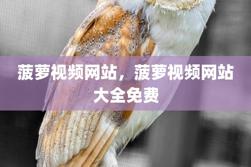 菠萝视频网站，菠萝视频网站大全免费